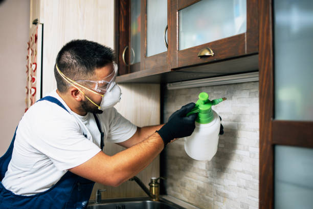 Best Affordable Exterminators  in Leslie, MI