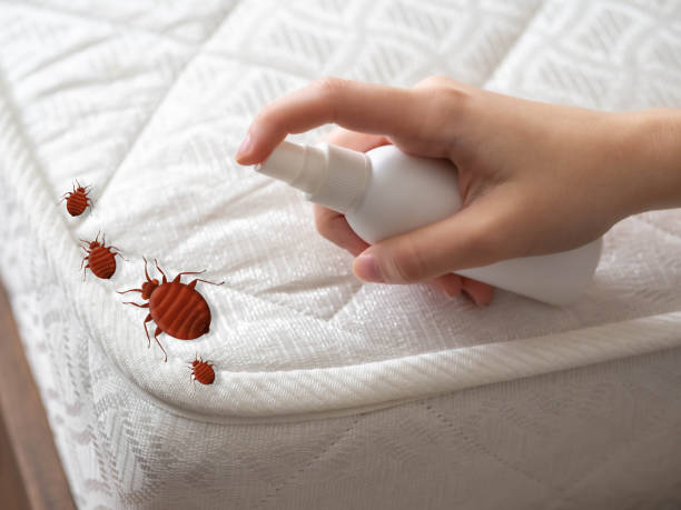 Best Flea Control Services  in Leslie, MI