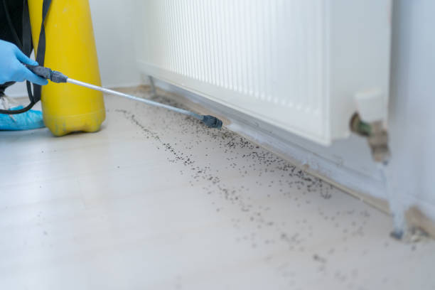 Best Residential Pest Control  in Leslie, MI