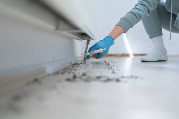 Best Pest Control Near Me  in Leslie, MI