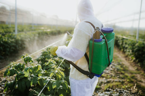 Best Ant Control Services  in Leslie, MI